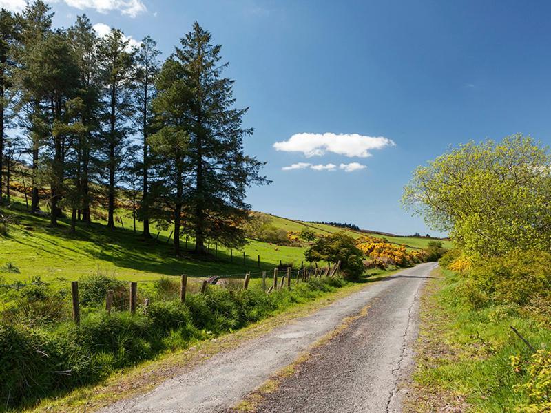 Curradoon House Villa Ballynamult Luaran gambar